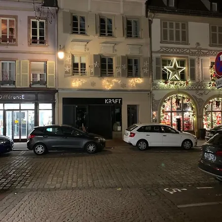 Des 2 Tetes アパート コルマール